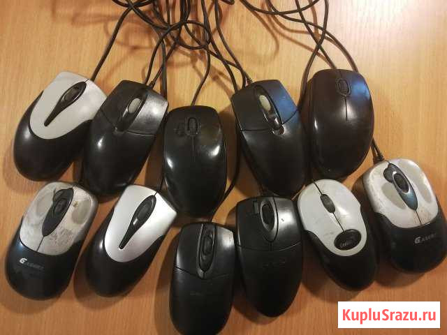 Компьютерная мышь Саратов - изображение 1