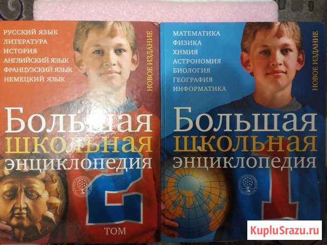 Энциклопедия Боровский - изображение 1