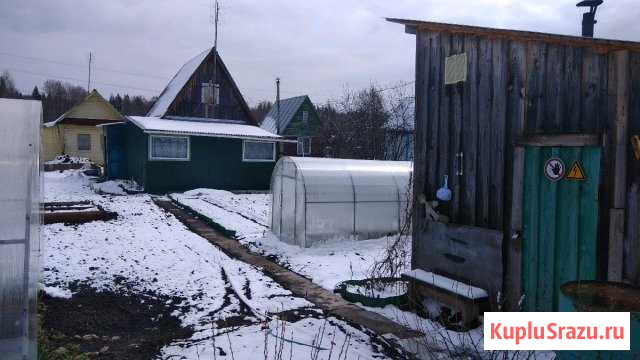  Ува - изображение 1