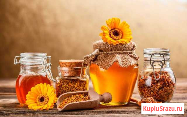 Мёд продам с личной пасеки Пушкино - изображение 1