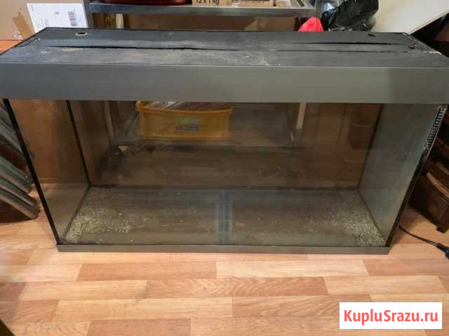 Аквариум Красногорск - изображение 1