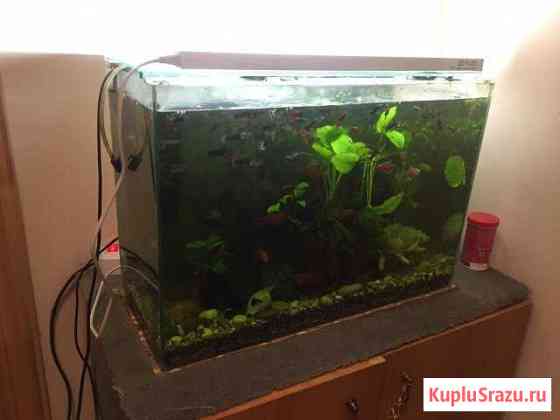 Аквариум 60 литров Красногорск