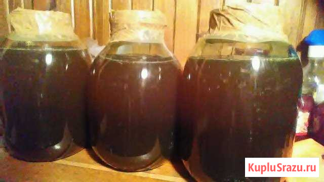 Мед каштановый Королев - изображение 1