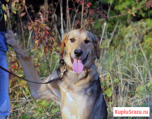 Боцман Чехов - изображение 1