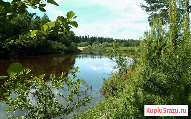 Поход на байдарках по реке Киржач Химки - изображение 1