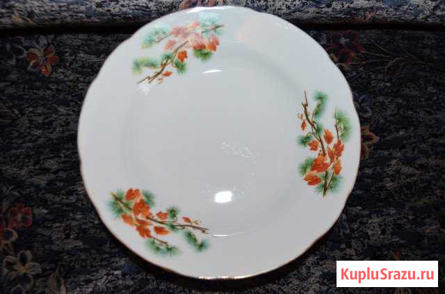 Большие тарелки Воскресенск - изображение 1