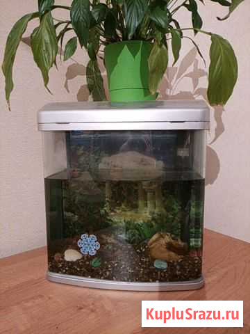 Аквариум Балашиха - изображение 1
