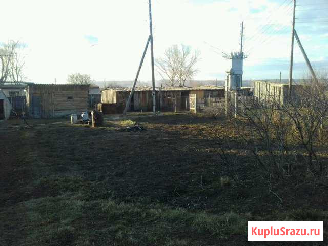 Дом 49.9 кв.м. на участке 20 сот. Косиха - изображение 1