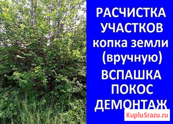 Расчистка участков. Копка. Спил. Покос. Демонтаж Барнаул - изображение 1