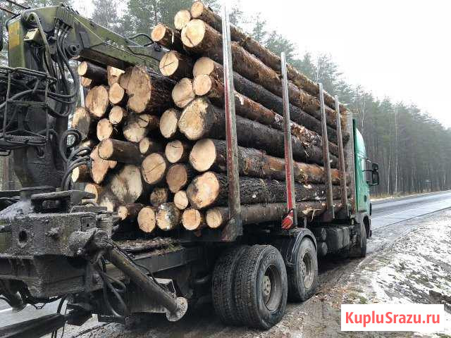 Перевозка леса Ногинск - изображение 1