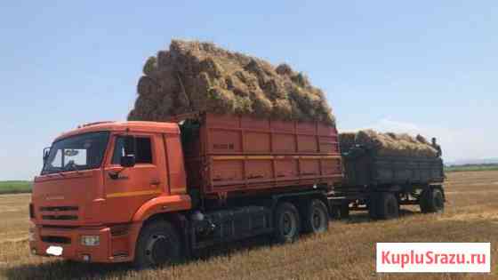 Сено в тюках разнотравие Абинск