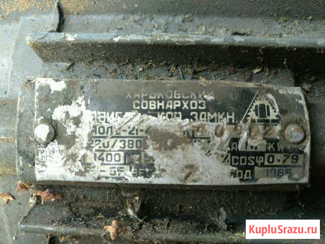 Электродвигатель Луга - изображение 1