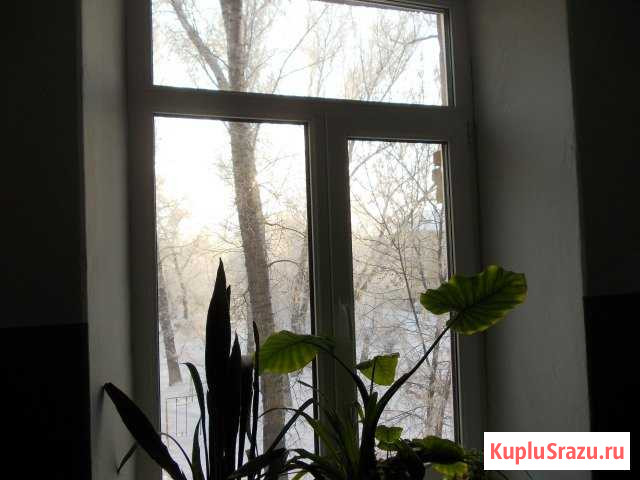  Рубцовск - изображение 1