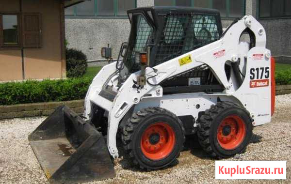 Услуги Аренда Бобкат Bobcat Bobket Бобкэт Бобкет Иркутск - изображение 1