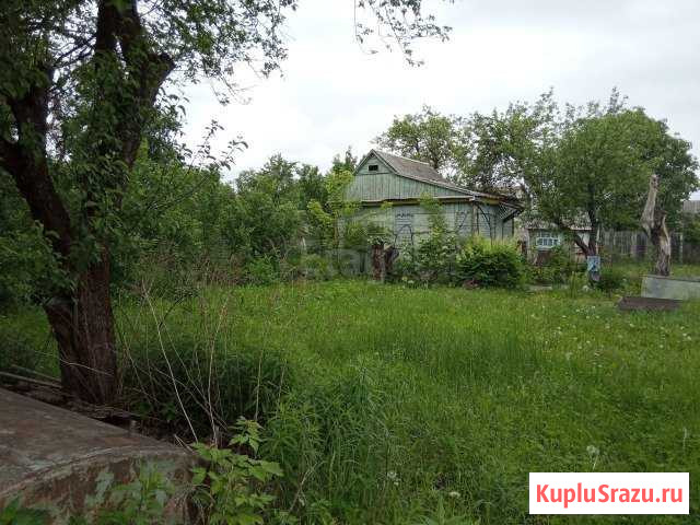  Брянск - изображение 1