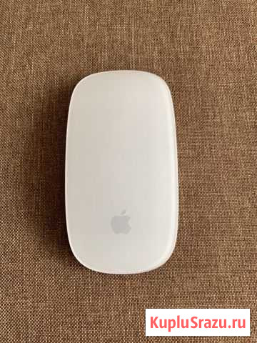 Мышь Apple Петропавловск-Камчатский - изображение 1
