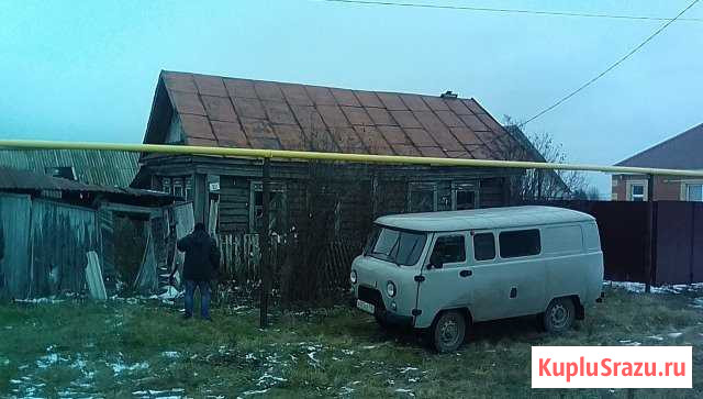  Черемшан - изображение 1