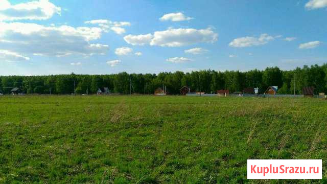 Буревестник - изображение 1