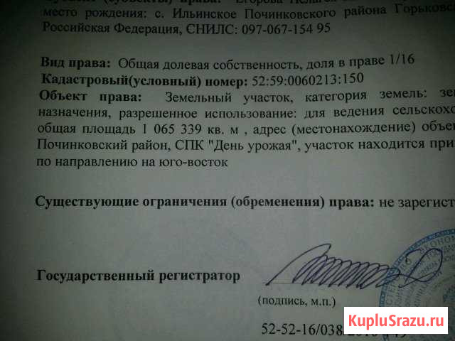  Починки - изображение 1