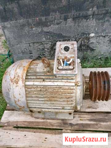 Электродвигатель Выборг - изображение 1