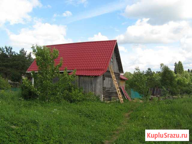  Луга - изображение 1