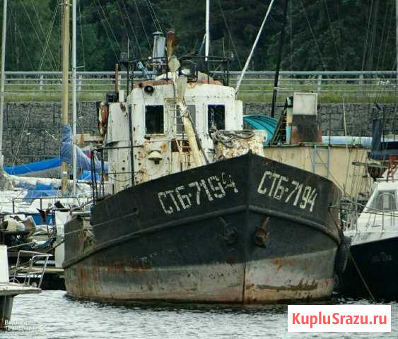 Куп. срб Всеволожск - изображение 1