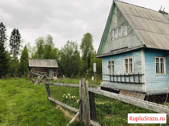  Новодвинск - изображение 1