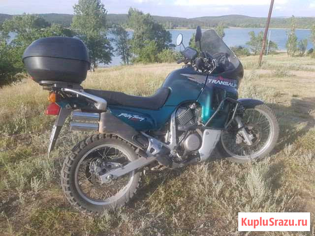Honda Transalp 600 Симферополь - изображение 1