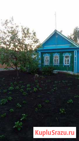 Дом 50 кв.м. на участке 45 сот. Новочеремшанск - изображение 1