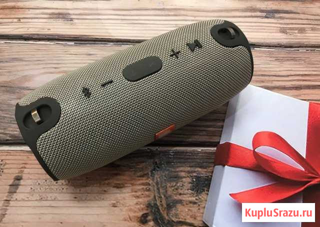 Портативная колонка Xtreme серая Строитель - изображение 1