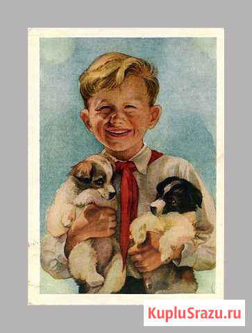 СССР. Пионер с щенками, Стрелкова, 1954 год, подп Белгород - изображение 1
