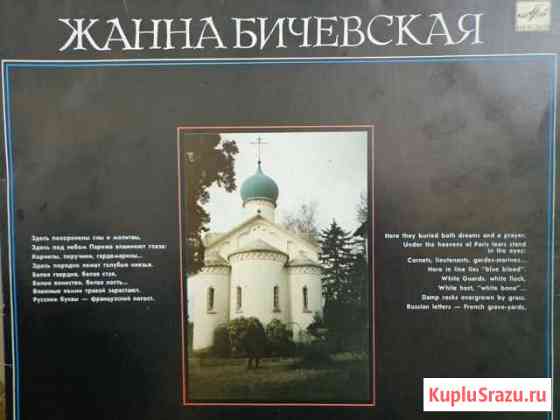 Виниловые пластинки Владимир