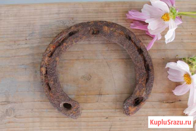 Подковы старинные Сокол - изображение 1