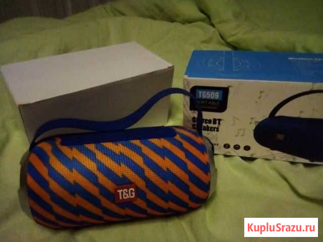 Колонка TG509 Гусь-Хрустальный - изображение 1
