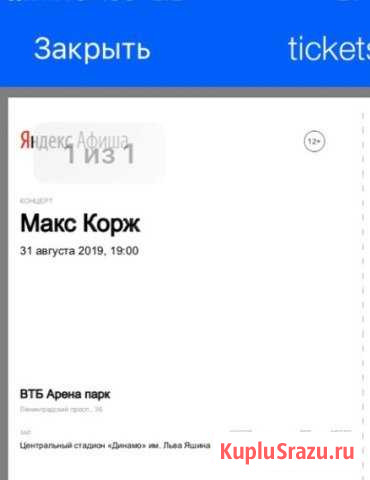 Электронный билет на концерт Макса Коржа Ковров - изображение 1