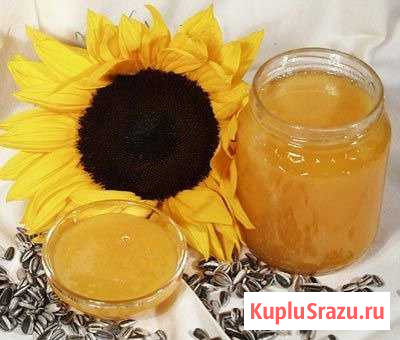 Мед подсолнечный Новоаннинский - изображение 1