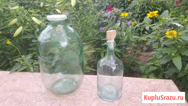 Бутыли стеклянные Суровикино - изображение 1