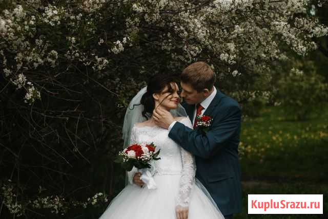 Фотограф Шексна - изображение 1