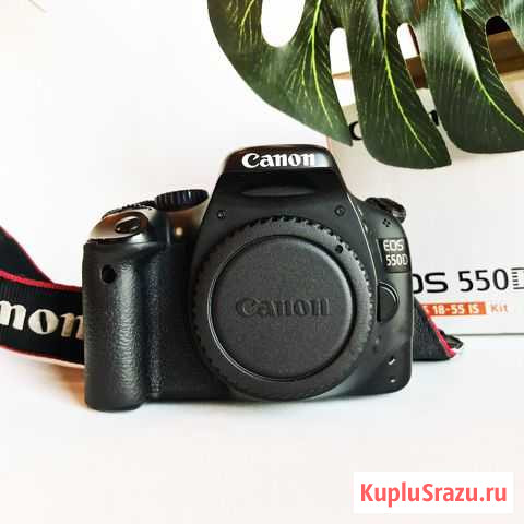 Зеркальный фотоаппарат Canon EOS 550D Вологда - изображение 1