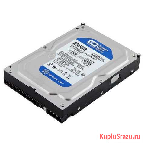Western Digital WD Blue 250 GB Воронеж - изображение 1
