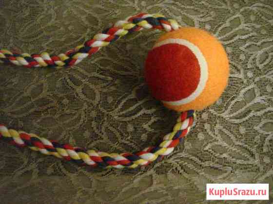 Новая игрушка для собаки Ангарск