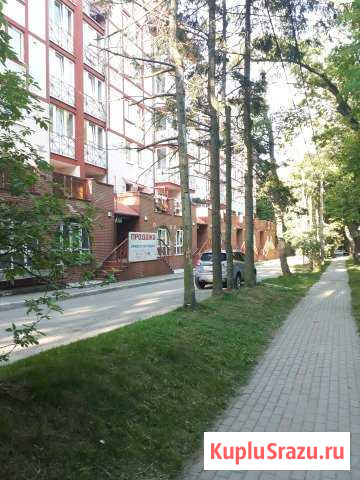  Светлогорск - изображение 1