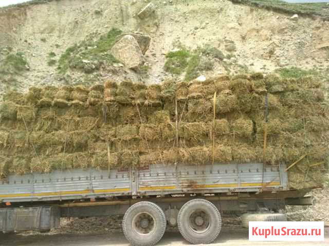 Камаз 65117 бортовой щука Кизляр - изображение 1