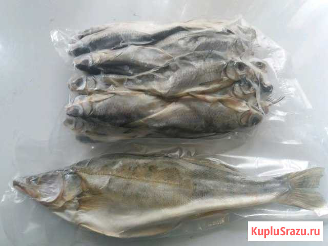Рыба зимняя Кизляр - изображение 1