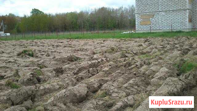  Багратионовск - изображение 1