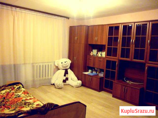 3-к квартира, 64 кв.м., 1/3 эт. Калевала - изображение 1