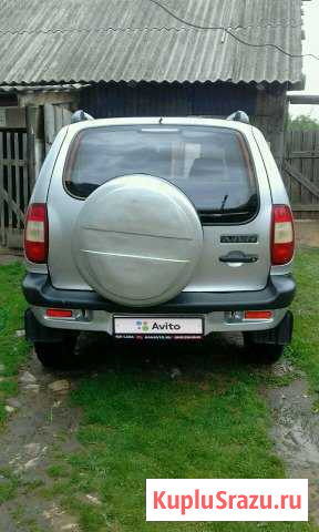 Chevrolet Niva 1.7 МТ, 2004, внедорожник Сосновка - изображение 1