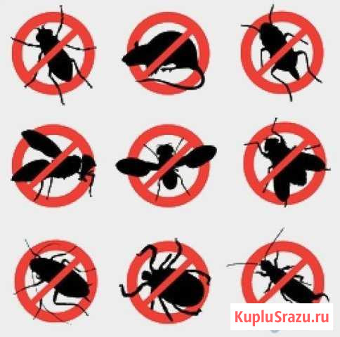 Уничтожение клопов, тараканов, муравьев, клещей и Кострома - изображение 1