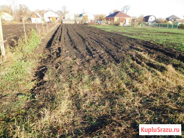  Курчатов - изображение 1