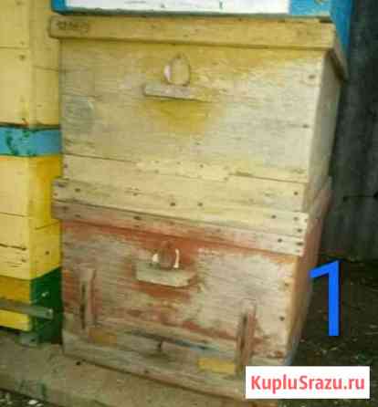 Улья для Пчёл Жаворонки